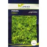 Graines de persil