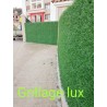 Grillage décoratif vert